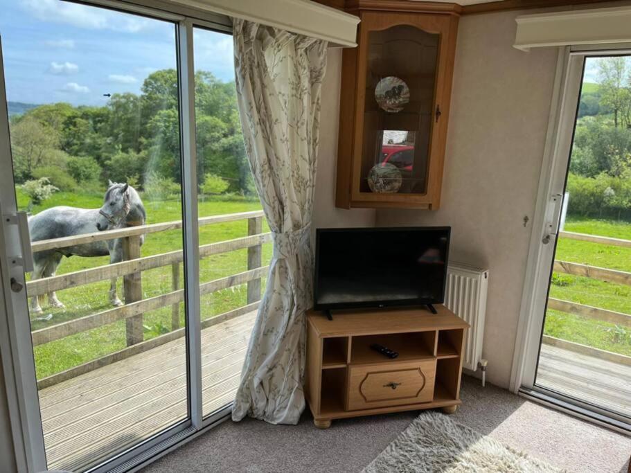 Farm Stay Caravan On Working Farm Dacre  Esterno foto
